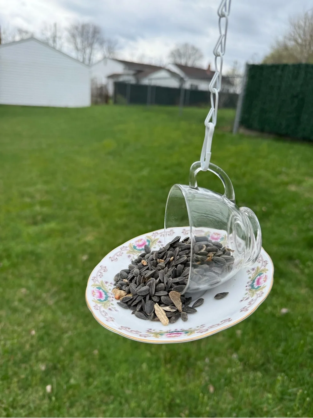Hanging Teacup Bird Feeder in Clear Glass and Floral White